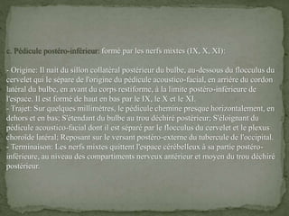 c. Pédicule postéro-inférieur: formé par les nerfs mixtes (IX, X, XI):
- Origine: Il nait du sillon collatéral postérieur du bulbe, au-dessous du flocculus du
cervelet qui le sépare de l'origine du pédicule acoustico-facial, en arrière du cordon
latéral du bulbe, en avant du corps restiforme, à la limite postéro-inférieure de
l'espace. Il est formé de haut en bas par le IX, le X et le XI.
- Trajet: Sur quelques millimètres, le pédicule chemine presque horizontalement, en
dehors et en bas; S'étendant du bulbe au trou déchiré postérieur; S'éloignant du
pédicule acoustico-facial dont il est séparé par le flocculus du cervelet et le plexus
choroïde latéral; Reposant sur le versant postéro-externe du tubercule de l'occipital.
- Terminaison: Les nerfs mixtes quittent l'espace cérébelleux à sa partie postéro-
inférieure, au niveau des compartiments nerveux antérieur et moyen du trou déchiré
postérieur.
 