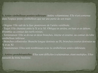 b. Artère cérébelleuse postéro-inférieure: Artère volumineuse. Elle n'est contenue
dans l'espace ponto-cérébelleux que sur une partie de son trajet.
- Origine: Elle naît de la face postérieure de l'artère vertébrale.
- Trajet: Elle chemine entre le X et le XI. Oblique en arrière, en haut et en dehors.
D'emblée au contact des nerfs mixtes.
- Terminaison: Elle se divise en deux branches, interne et externe, au contact du lobe
cérébelleux inférieur.
- Branches collatérales: Branche longue destinée au IX; branches courtes destinées au
X et au XI.
- Anastomoses: Elles sont nombreuses avec la cérébelleuse antéro-inférieure.
c. Artères protubérantielles: Elles sont difficiles à schématiser, étant multiples. Elles
naissent du tronc basilaire.
 