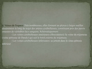 d. Veines de l'espace: Très nombreuses, elles forment un plexus à larges mailles
disséminées le long du trajet des artères cérébelleuses, constituant près des parois
osseuses de véritables lacs sanguins. Schématiquement:
- Les veines cérébelleuses antérieures (flocculaires): la veine du trijumeau
(veine pétreuse de Dandy) qui suit le bord externe du trijumeau.
- Les veines cérébelleuses inférieures: se jettent dans le sinus pétreux
inférieur.
 