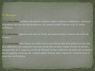 3). Méninges:
a. La dure-mère: solidaire des parois osseuses antéro-externe et inférieure, sertissant
le pourtour du trou déchiré postérieur, du conduit auditif interne et de la lunula
d'Albinus.
b. La pie-mère: tapisse le névraxe et forme une gaine propre à chacun des nerfs de
l'espace.
c. L'arachnoïde: Elle forme un voile soulevé par chacun des trois pédicules nerveux.
Son adhérence aux pédicules nerveux est de plus en plus intime d'avant en arrière,
laissant libre le V jusqu'au cavum de Meckel, la face inférieure du pédicule acoustico-
facial jusqu'au voisinage du conduit auditif interne mais engainant complètement le
trajet des nerfs mixtes.
 