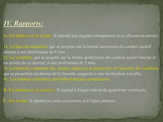 IV. Rapports:
A. En dehors et en avant: Il répond aux organes intrapétreux avec d'avant en arrière:
1). La base du modiolus: qui se projette sur la moitié antérieure du conduit auditif
interne à une profondeur de 8 mm.
2). Le vestibule: qui se projette sur la moitié postérieure du conduit auditif interne et
en arrière de ce dernier, à une profondeur de 5 mm.
3). La branche commune des canaux supérieur et postérieur, et l'aqueduc du vestibule:
qui se projettent au-dessus de la fossette unguéale à une profondeur variable.
4). Les traînées cellulaires péri-labyrinthiques postérieures.
B. En dedans et en arrière: Il répond à l'angle latéral du quatrième ventricule.
C. En avant: Il répond au sinus caverneux et à l'apex pétreux.
 