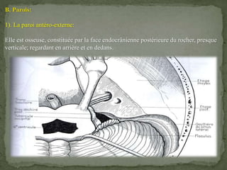 B. Parois:
1). La paroi antéro-externe:
Elle est osseuse, constituée par la face endocrânienne postérieure du rocher, presque
verticale; regardant en arrière et en dedans.
 