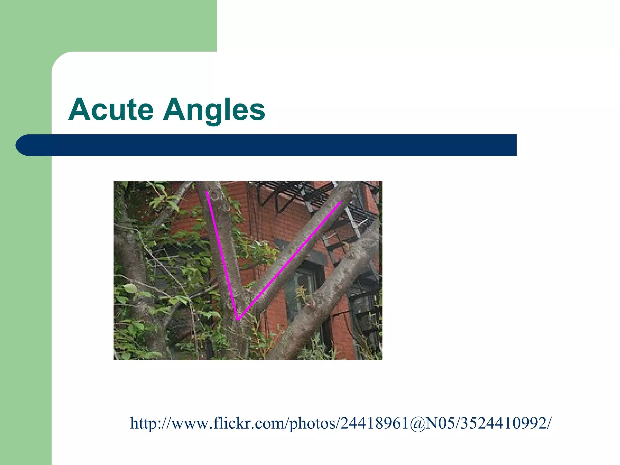 Acute Angles http://www.flickr.com/photos/24418961@N05/3524410992/ 