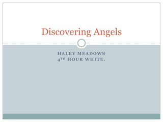 Haley Meadows 4th hour white.  Discovering Angels 