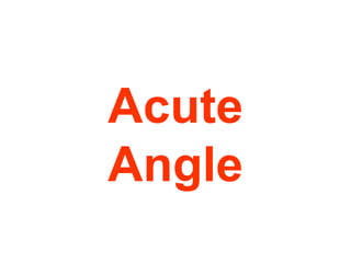 Acute
Angle
 