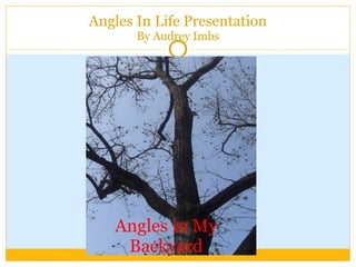 Angles In Life Presentation By Audrey Imbs Angles in My Backyard 