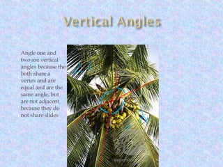 Angle one and two are vertical angles because the both share a vertex and are equal and are the same angle, but are not adjacent because they do not share slides 