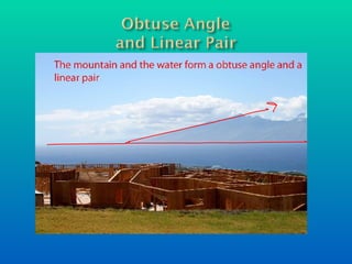 Angles In Nature 2