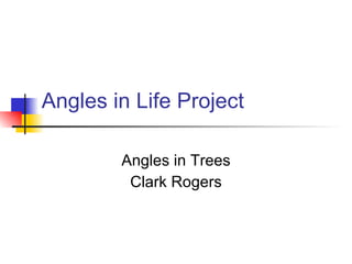 Angles in Life Project Angles in Trees Clark Rogers 