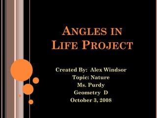 ANGLES IN
LIFE PROJECT
Created By: Alex Windsor
      Topic: Nature
       Ms. Purdy
      Geometry D
     October 3, 2008
 