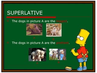 SUPERLATIVE The dogs in picture A are the  biggest . The dogs in picture A are the   prettiest . B A A B 