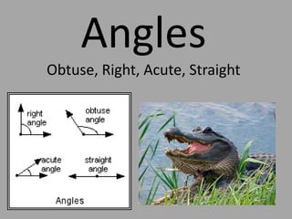 AnglesObtuse, Right, Acute, Straight 