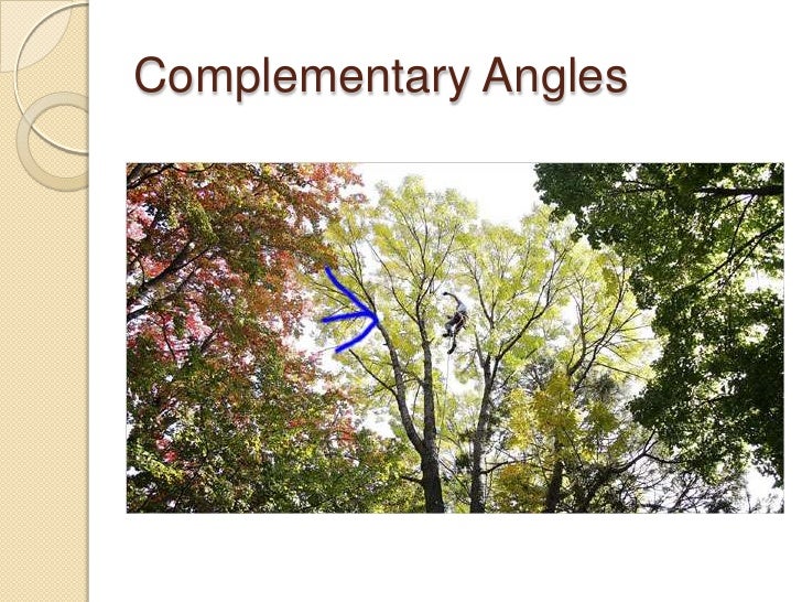 Angles In Trees Final2