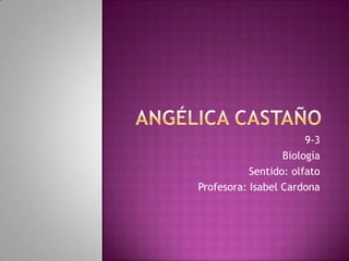 Angélica Castaño  9-3 Biología Sentido: olfato Profesora: Isabel Cardona 