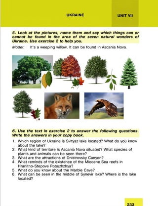 UKRAINE UNIT VII
5. Look at the pictures, name them and say which things can or
cannot be found in the area o f the seven natural wonders o f
Ukraine. Use exercise 2 to help you.
Model: It’s a weeping willow. It can be found in Ascania Nova.
6. Use the text in exercise 2 to answer the following questions.
Write the answers in your copy book.
1. Which region of Ukraine is Svityaz lake located? W hat do you know
about the lake?
2. W hat kind of territore is Ascania Nova situated? W hat species of
plants and animals can be seen there?
3. W hat are the attractions of Dnistrovsky Canyon?
4. W hat rem inds of the existence of the M iocene Sea reefs in
Hranitno-Stepove Pobuzhzhya?
5. W hat do you know about the M arble Cave?
6. W hat can be seen in the m iddle of Synevir lake? W here is the lake
located?
 