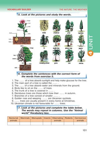THE NATURE. THE WEATHER
4
101
UNIT
5. Look at the pictures and study the words.
6. Complete the sentences with the correct form of
the words from exercise 5.
1.	The ....... of a tree absorb sunlight and help make glucose for the tree.
2.	The main part of a tree is called the ....... .
3.	The ....... of a tree absorb water and minerals from the ground.
4.	Birds like to sit on the ....... of trees.
5.	The trunk of a tree is covered in ....... .
6.	Deciduous trees are those which lose their ....... in autumn.
7.	Branches of a tree consist of smaller ....... .
8.	Guilder rose and weeping ....... are Ukrainian symbols.
9.	....... trees are usually present in every home at Christmas.
10.	Ukrainian climate is not favourable for ....... trees.
7. Look at the pictures and complete the table below.
The words may repeat in columns. Use the “Animal
world” Vocabulary box.
Nocturnal
animals
Mammals Marsupials Insects Hibernating
animals
Rodents Carnivorous
animals
VOCABULARY BUILDER
 