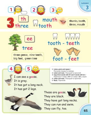 1 Listen, point and repeat. /
Послухай, покажи та повтори.
2 Listen and read. / Послухай та прочитай.
3 Copy three words with ‘th’ and 3 words with ‘ee’. /
Перепиши 3 слова з ‘th’ та 3 слова з ‘ee’ у зошит.
4 Listen and read. / Послухай та прочитай.
5 Read. / Прочитай.
65
3333
LessonLessonLessonLesson
1 32
4 5
These are geese.
They are black.
They have got long necks.
They can run and swim.
They can fly, too.
I can see a goose.
It is grey.
It has got a long neck.
It has got 2 legs.
three
mouth
tooth
th
ee
thanks, tooth,
three, mouth
three geese, nine teeth,
big feet, green tree
tooth - teeth
foot - feet
tree
It has got a long neck.
It has got 2 legs.
se.
 