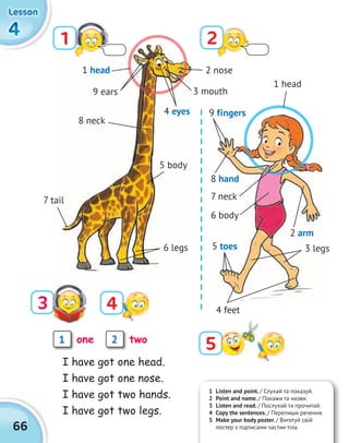 1 Listen and point. / Слухай та показуй.
2 Point and name. / Покажи та назви.
3 Listen and read. / Послухай та прочитай.
4 Copy the sentences. / Перепиши речення.
5 Make your body poster. / Виготуй свій
постер з підписами частин тіла.66
4444
LessonLessonLessonLesson
6 legs
9 fingers
I have got one head.
I have got one nose.
I have got two hands.
I have got two legs.
1 2
3 4
51 2one two
6 legs
1
fingers
1 head
1 head
9 ears
4 eyes
2 nose
3 mouth
8 neck
7 neck
5 body
7 tail
3 legs5 toes
4 feet
6 body
2 arm
8 hand
 