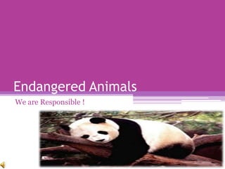Endangered Animals
We are Responsible !
 