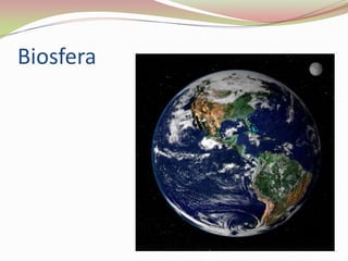Biosfera