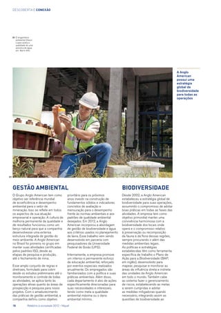 descoberta e conexão
O Grupo Anglo American tem como
objetivo ser referência mundial
de ecoeficiência e desempenho
ambiental para o setor de
mineração. Isso se reflete em todos
os aspectos de sua atuação
empresarial e operação. A cultura de
melhoria permanente da qualidade e
de resultados funcionou como um
berço natural para que a companhia
desenvolvesse uma extensa
estrutura integrada de gestão do
meio ambiente. A Anglo American
no Brasil foi pioneira no grupo em
manter suas atividades certificadas
pelos padrões ISO, desde as
etapas de pesquisa e produção,
até o fechamento de mina.
Esse amplo conjunto de regras e
diretrizes, formulado para cobrir
desde os estudos preliminares até o
monitoramento e controle de todas
as atividades, se aplica tanto às
operações ativas quanto às áreas de
prospecção e pesquisa para novos
projetos. Com o amadurecimento
das práticas de gestão ambiental, a
companhia definiu como objetivo
A Anglo
American
possui uma
estratégia
global de
biodiversidade
para todas as
operações
01
Gestão ambiental Biodiversidade
Desde 2002, a Anglo American
estabeleceu a estratégia global de
biodiversidade para suas operações,
assumindo o compromisso de adotar
boas práticas em todas as fases das
atividades. A empresa tem como
objetivo primordial manter uma
convivência harmoniosa com a
biodiversidade dos locais onde
opera e o compromisso relativo
à preservação ou recomposição
da fauna e da flora dessas regiões,
sempre procurando ir além das
medidas ambientais legais.
As políticas e estratégias
estabelecidas têm como ferramenta
específica de trabalho o Plano de
Ação para a Biodiversidade (BAP,
em inglês), desenvolvido para
mapear, pesquisar e monitorar as
áreas de influência direta e indireta
das unidades da Anglo American
em todo o mundo. Também cabe
ao sistema fazer o gerenciamento
de riscos, estabelecendo as metas
a serem cumpridas e adotar
as medidas mitigadoras quando
necessário, integrando assim as
questões de biodiversidade ao
prioritário para os próximos
anos investir na construção de
fundamentos sólidos e indicadores
concretos de avaliação e
mensuração para o desempenho
frente às normas ambientais e aos
padrões de qualidade ambiental
desejados. Em 2012, a Anglo
American incorporou a abordagem
de gestão de biodiversidade e água
aos critérios usados no planejamento
de lavra. Esse trabalho vem sendo
desenvolvido em parceria com
pesquisadores da Universidade
Federal de Goiás (UFG).
Internamente, a empresa promove
um intenso e permanente esforço
de educação ambiental, reforçado
por eventos especiais realizados
anualmente. Os empregados são
familiarizados com a política e suas
práticas ambientais. Além disso,
cada departamento é alvo de ações
especificamente direcionadas para
suas necessidades e interesses,
tendo como meta a qualidade
ambiental máxima ou o dano
ambiental mínimo.
01	O engenheiro
ambiental Otavio
Lopes avalia a
qualidade de uma
amostra de água
em Barro Alto
18	 Relatório à sociedade 2012 - Níquel
 