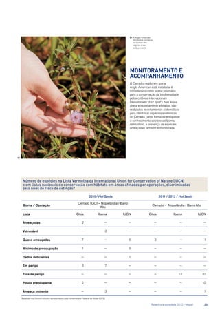 Monitoramento e
acompanhamento
O Cerrado, região em que a
Anglo American está instalada, é
considerado como bioma prioritário
para a conservação da biodiversidade
pelos critérios internacionais
(denominado “Hot Spot”). Nas áreas
direta e indiretamente afetadas, são
realizados levantamentos sistemáticos
para identificar espécies endêmicas
do Cerrado, como forma de enriquecer
o conhecimento sobre esse bioma.
Além disso, a presença de espécies
ameaçadas também é monitorada.
Número de espécies na Lista Vermelha da International Union for Conservation of Nature (IUCN)
e em listas nacionais de conservação com hábitats em áreas afetadas por operações, discriminadas
pelo nível de risco de extinção*
2010/ Hot Spots 2011 / 2012 / Hot Spots
Bioma / Operação
Cerrado (GO) – Niquelândia / Barro
Alto
Cerrado – Niquelândia / Barro Alto
Lista Cites Ibama IUCN Cites Ibama IUCN
Ameaçadas 2 — — — — —
Vulnerável — 3 — — — —
Quase ameaçadas 7 — 6 3 — 1
Mínimo de preocupação 1 — 9 — — —
Dados deficientes — — 1 — — —
Em perigo 3 7 — — — —
Fora de perigo — — — — 13 32
Pouco preocupante 2 — — — — 10
Ameaça iminente — 3 — — — 1
*Baseado nos últimos estudos apresentados pela Universidade Federal de Goiás (UFG)
01	A Anglo American
monitora e conserva
os biomas das
regiões onde
está presente
01
	 Relatório à sociedade 2012 - Níquel	 23
 