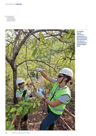 descoberta e conexão
A Unidade
Níquel
investe em
pesquisa e no
desenvolvimento
de profissionais
com foco na
manutenção da
biodiversidade
local
01	Hamanda Jansen
e Anita Marques
durante os estudos
de biodiversidade da
região de Barro Alto
01 01
24	 Relatório à sociedade 2012 - Níquel
 