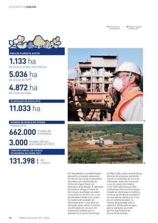 descoberta e conexão
02	Planta de upgrade
em Barro Alto
01	Parte da planta
em Niquelândia
Área de floresta nativa
Plantação de eucalipto
1.133 ha
11.033 ha
662.000
3.000
131.398 t
5.036 ha
4.872 ha
de áreas verdes voluntárias
mudas de
eucaliptos
mudas nativas
plantadas em 2012
de
cavaco
de áreas de APP
de reserva legal
Consumo anual de cavaco
de madeira na usina 2013
Número de mudas no viveiro
(Produção 2012)
Em Niquelândia, a Unidade Níquel
apresenta um quadro expressivo
em termos de uso de combustíveis
renováveis em substituição às
fontes de origem fóssil nos
processos de produção. A operação
da Codemin atingiu o índice de
dois terços da energia renovável
consumida nos fornos com o uso
de hidroeletricidade e do cavaco
de madeira de eucalipto de
reflorestamento, o que deve ser
reforçado pelas outras iniciativas
de otimização de recursos em
andamento voltadas para a
redução do consumo de energia.
Em Barro Alto, pelas características
técnicas do processo, sobretudo
o porte e a extensão do forno de
calcinação, ainda não é possível
o uso do cavaco de madeira
como fonte alternativa ao óleo
combustível. Entre as tecnologias
inovadoras destinadas à melhoria
contínua de eficiência energética
na nova planta, destaca-se o uso
de um sistema baseado no
impulso da gravidade para a
captura e distribuição de água
para a operação, que trará
ganhos significativos de
economia de energia.
01
02
26	 Relatório à sociedade 2012 - Níquel
 