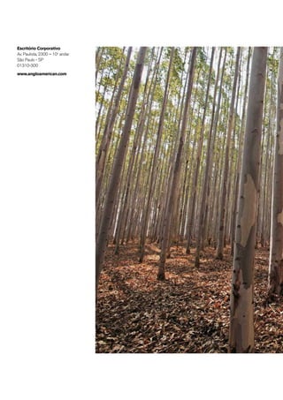 Escritório Corporativo
Av. Paulista, 2300 – 10o
andar
São Paulo - SP
01310-300
www.angloamerican.com
 