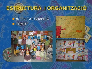 ESTRUCTURA  I ORGANITZACIÓ ACTIVITAT GRÀFICA COMIAT 