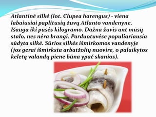 Atlantinė silkė (lot. Clupea harengus) - viena
labaiusiai paplitusių žuvų Atlanto vandenyne.
Išauga iki pusės kilogramo. Dažna žuvis ant mūsų
stalo, nes nėra brangi. Parduotuvėse populiariausia
sūdyta silkė. Sūrios silkės išmirkomos vandenyje
(jos gerai išmirksta arbatžolių nuovire, o palaikytos
keletą valandų piene būna ypač skanios).
 