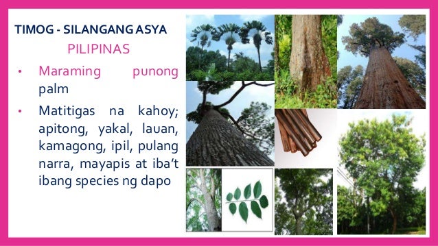 Angmgalikasnayamanngasya 140706052913-phpapp01