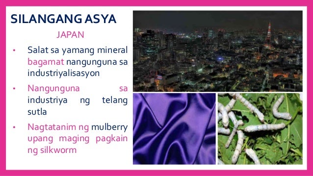 Ang mga likas na yaman ng asya