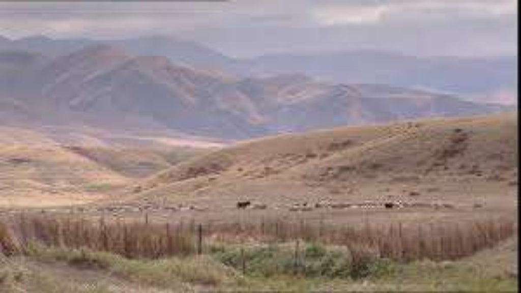 Ang mga vegetation cover ng asya