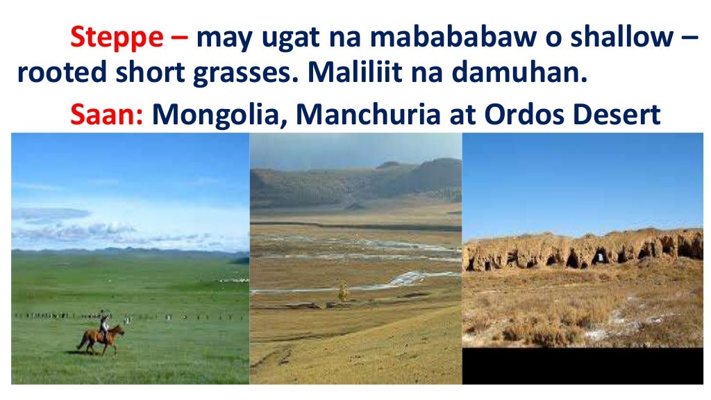 Ang mga vegetation cover ng asya