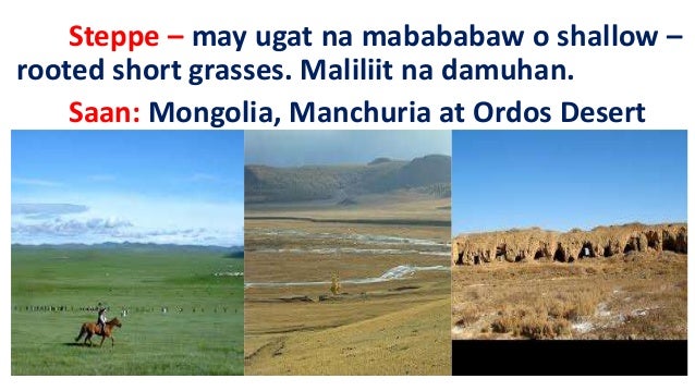 Vegetation Cover Ng Silangang Asya