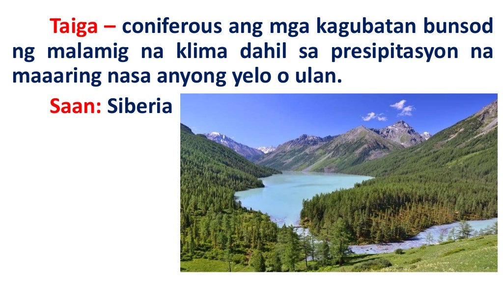 Ang mga vegetation cover ng asya