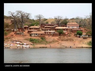 Libata junto ao dondo 