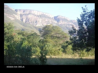 Serra da chela 
