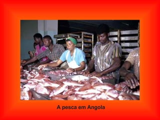 A pesca em Angola 