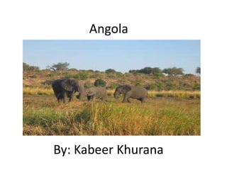 Angola




By: Kabeer Khurana
 