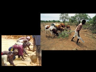 Factores económicos Ganadería, agricultura y pesca. Minería. Sector terciario. 