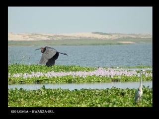 Rio Longa – Kwanza-Sul 