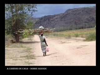 A caminho de casa – dombe grande 