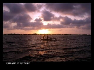 Estuário do rio zaire 