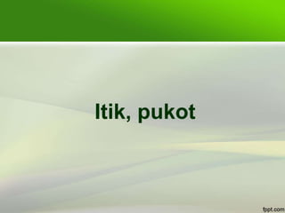 Itik, pukot
 