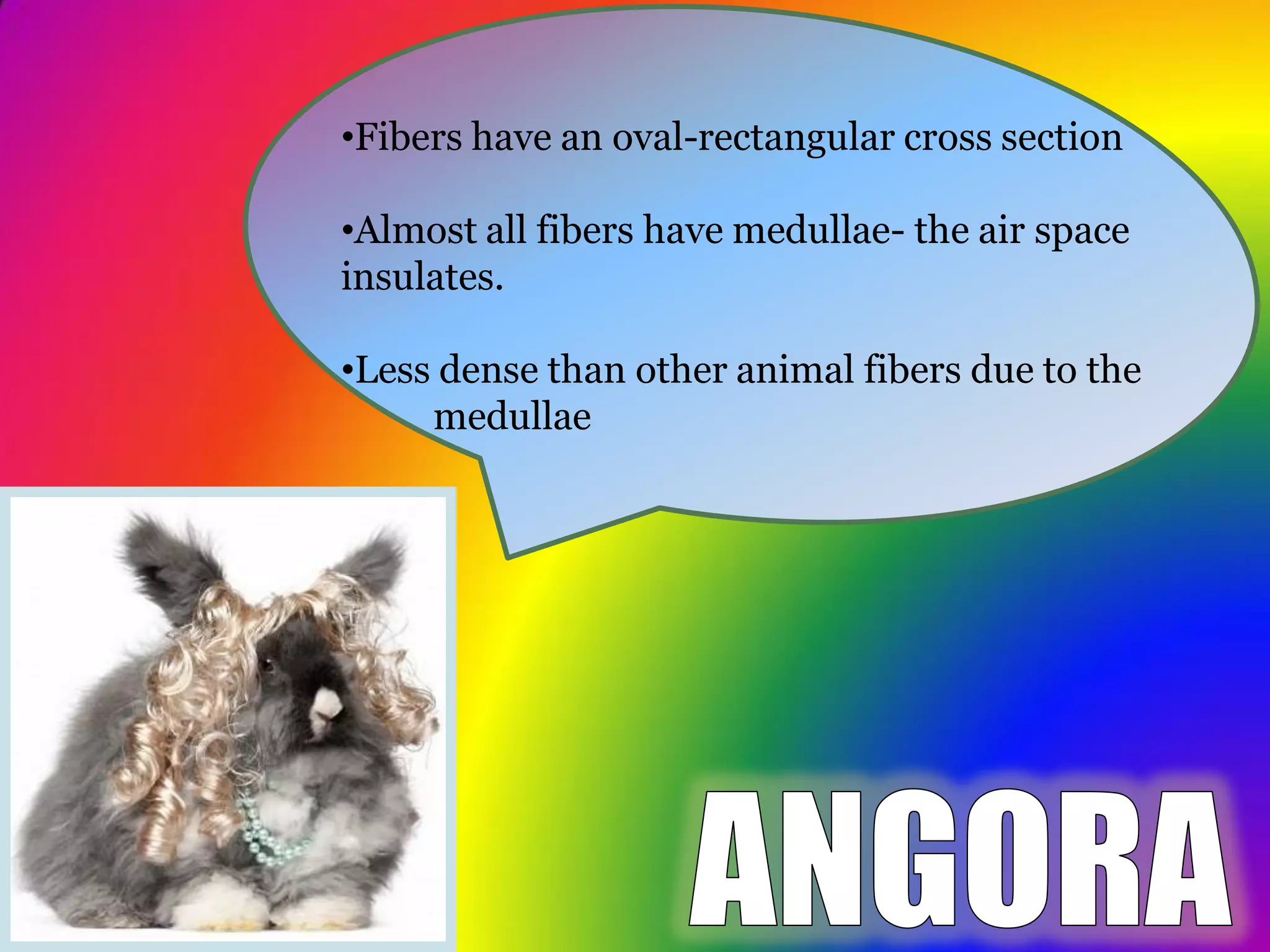 Angora Presentation | PDF