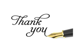 Angoumois grain moth