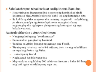 Ang Pinagmulan ng mga Unang Tao sa Daigdig - Kasaysayan ng Daigdig ...