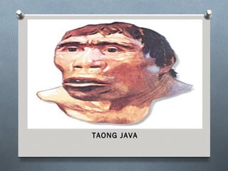 Taong Java